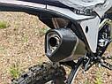 Питбайк AVM Taos 140, фото 10
