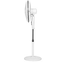 Вентилятор напольный Ballu BFF-815, фото 2