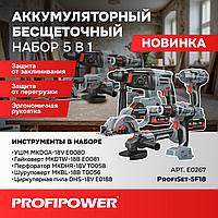Набор аккумуляторных инструментов ProfiPower 5в1 (УШМ, шур-рт, гайк-рт, перф., дисковая, 3 АКБ 4 Ач) E0267