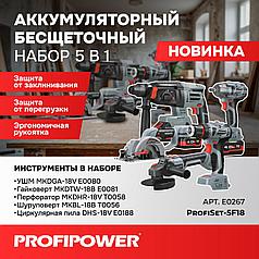 Набор аккумуляторных инструментов ProfiPower 5в1 (УШМ, шур-рт, гайк-рт, перф., дисковая, 3 АКБ 4 Ач) E0267