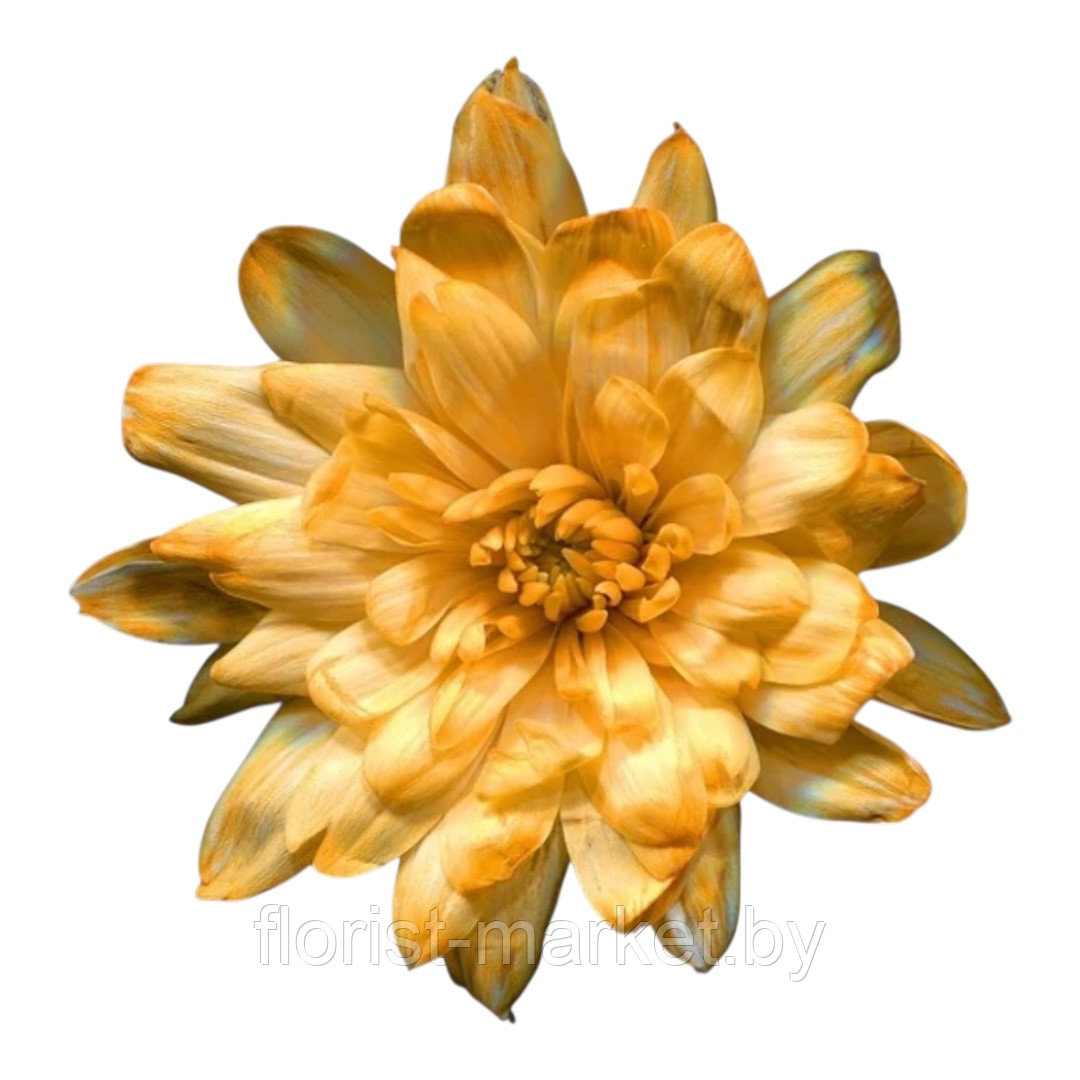 Краска для живых цветов, оранжевый, 300 мл, № 28