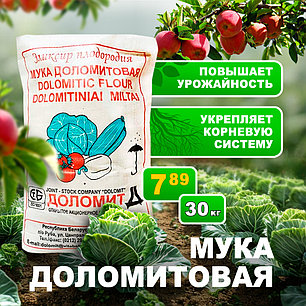 Доломитовая мука 30 кг. РБ (мука известняковая), фото 2