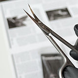 Ножницы TopZatochka Sn01, фото 2