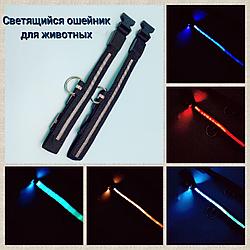 Светящийся ошейник для собак (3 режима) Glowing Dog Collar Черный S (MAX 40 sm)