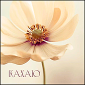 Открытка для букета "Кахаю", 7,5*7,5 см, 10 шт