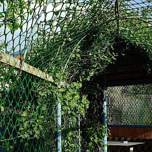 Садовая решетка 1.8*20м (45*45мм), ромб, фото 2