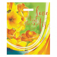 Пакет с вырубной ручкой 38х45 Вдохновение