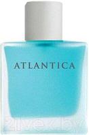 Туалетная вода Dilis Parfum Atlantica Alpha&Omega