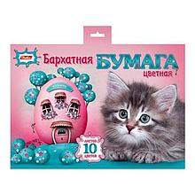 Набор цветной бархатной бумаги Hatber Котенок, 10 листов А5