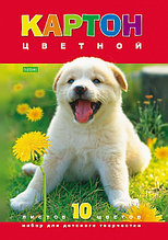 Набор картона цветной Hatber ECO Белый щенок, 10 л., 10 цв. А4