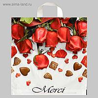 Пакет с петлевой ручкой 38х42 Мерси