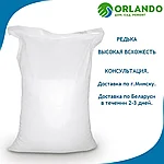 Редька масличная описание