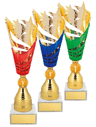 Кубок сувенирный