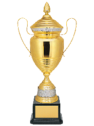 Кубок Престижный 3041