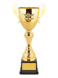 Кубок сувенирный 5085