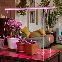 Профессиальные Фитолампы