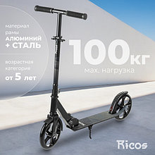 Самокат городской Ricos Impulse 200H (серый)
