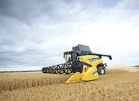 Диагностика корн-крекера – как проводится и зачем нужна