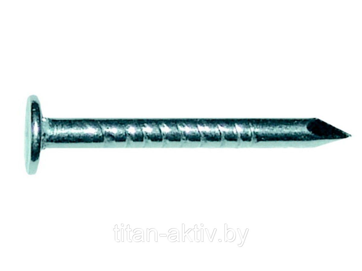 Гвозди толевые цинк 3.0х40 мм ГОСТ 4029-63 (5 кг в коробе) (STARFIX)