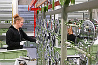 Цинкования - по ГОСТу - самые короткие сроки, фото 2