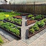 Грядки из металлопрофиля: стильно, и практично. Новый тренд для вашего огорода.