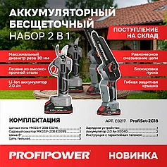 Набор садовых аккумуляторных бесщеточных инструментов ProfiPower (пила шина 20 см, секатор, 2 АКБ 2 Ач) E0217