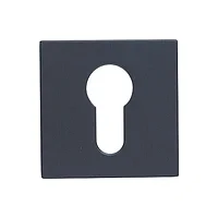 Накладка на ключевой цилиндр (ARCHIE SILLUR) CL-L PLATINUM GRAY (Платиново-серый, антибактериальное покрытие)