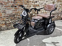 Электротрицикл Sky Way