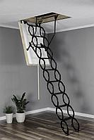 Чердачная лестница OMAN FlexPolar 120?60?290