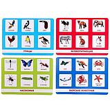 Мир животных - лото по методике домана, фото 2