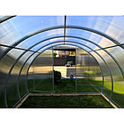 Теплица Comfort  Цельная Дуга ширина ,3м длина 6м бесплатная доставка, фото 4