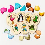 Кто в яйце - рамка-вкладыш, фото 3