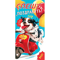 Конверт для денег (4-15-1713) Спешу поздравить! собака