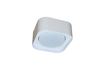 Накладной потолочный светильник NewRgy 2729M-1 FWH