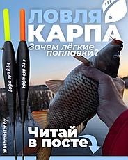 Ловля карпа