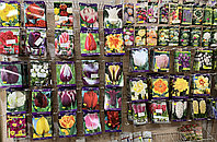 Луковичные в продаже.