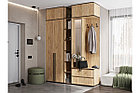 Прихожая Норд дуб крафт золотой, фото 5