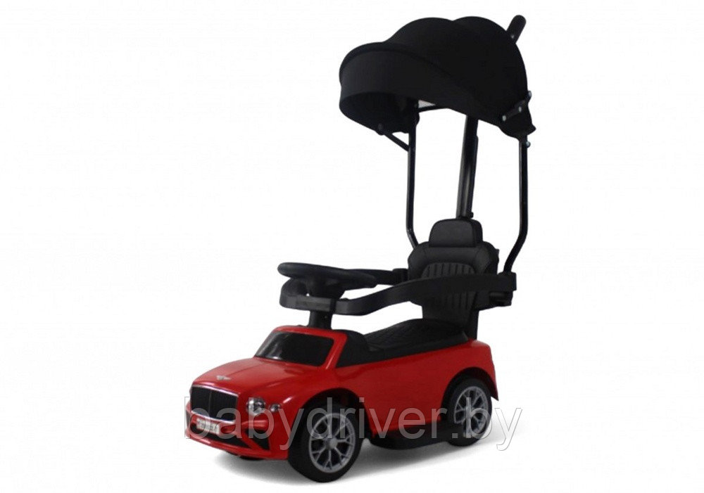 Детский толокар RiverToys Z005ZZ-T (розовый)