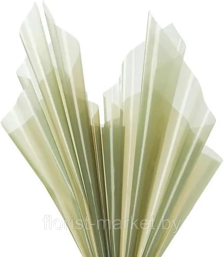 Пленка глянцевая полупрозрачная, 57*57 см, 20 л./уп., 50 мкм, оливковый