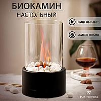 Настольный биокамин Элеста