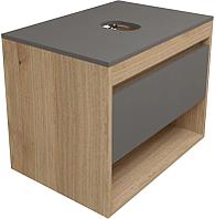 Teymi Тумба под умывальник Ritta 65 T60524 (дуб эврика/графит матовый)