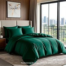Комплект постельного белья 2,0 сп. с европростыней Сатин Luxor диз. 19-5420 Изумруд (N)