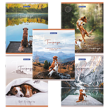 Тетрадь А5 48л. BRAUBERG скоба, клетка, обложка картон, рисунок Best Friends (микс в спайке), 404360