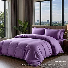 Комплект постельного белья Евро-стандарт Сатин Luxor диз. 17-3612 Орхидейный туман (N)