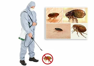 ОБРАБОТКА ПОМЕЩЕНИЙ, СРЕДСТВА ОТ БЛОХ, КЛЕЩЕЙ И Т.Д.