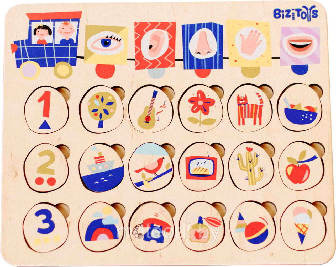 Бизипазл 5 чувств