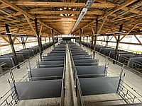 Боксы для телят ПВХ