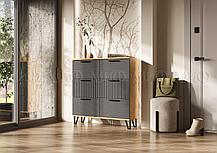 Тумба для обуви (обувница) Флэш кашемир, фото 3