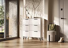 Тумба для обуви (обувница) Флэш белая, фото 2