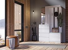 Прихожая Челси сонома, фото 2